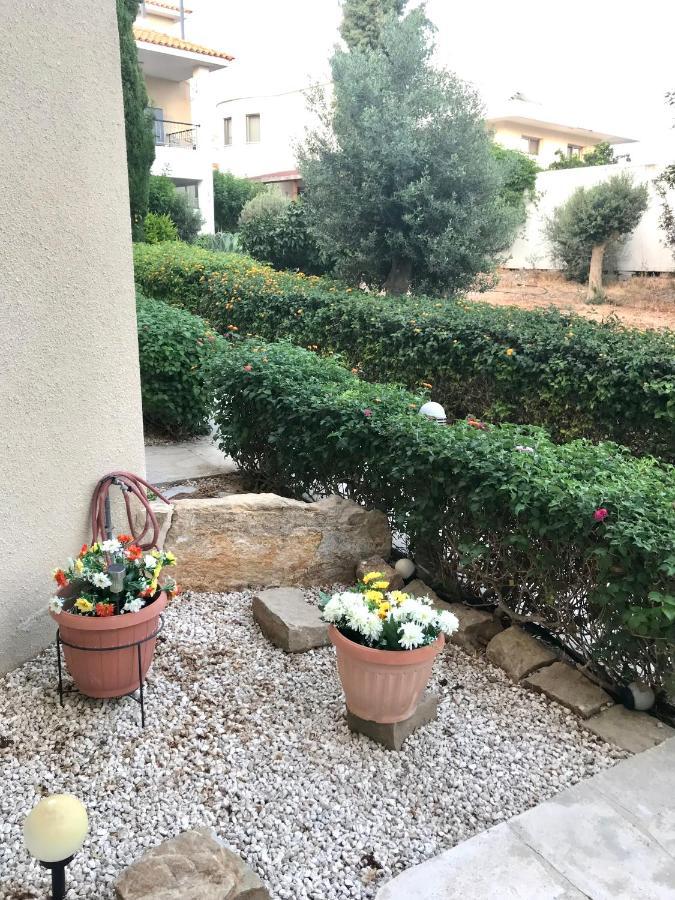 فيلا Owls Nest Townhouse بافوس المظهر الخارجي الصورة